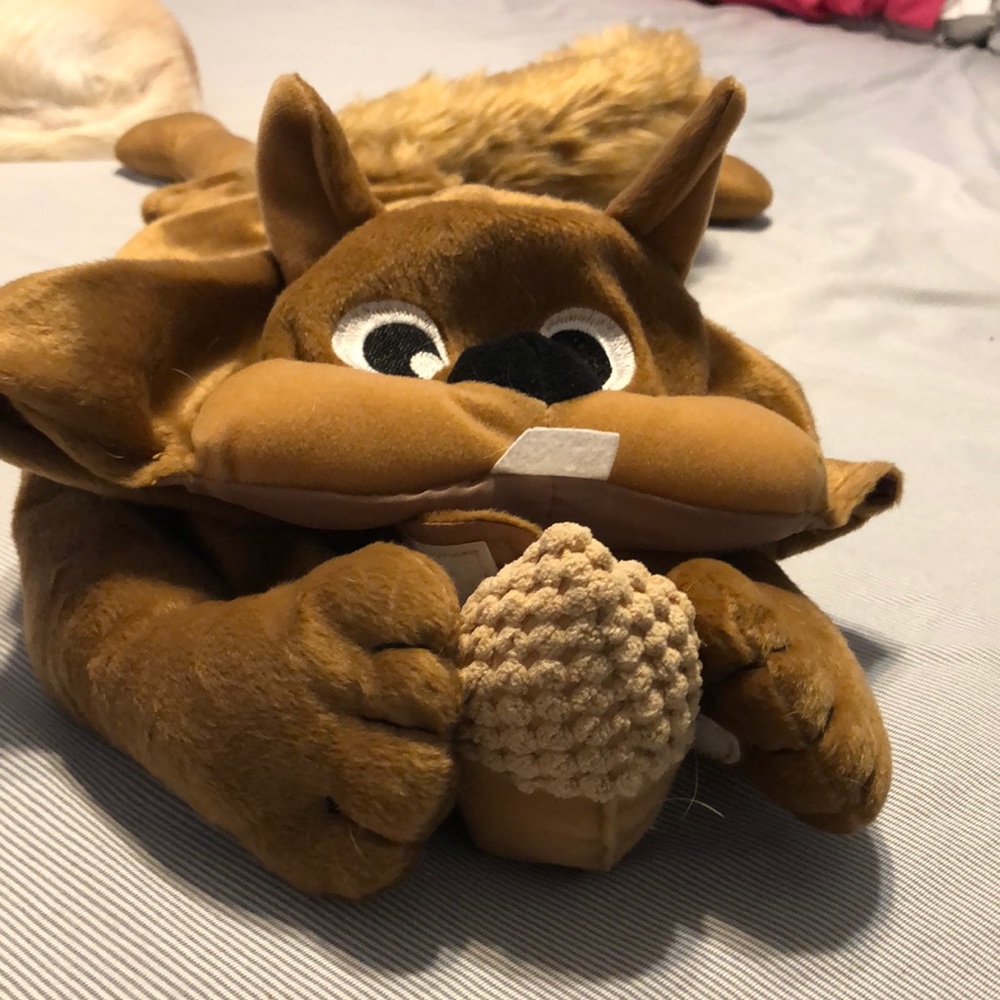 Medium size dog squirrel costume !